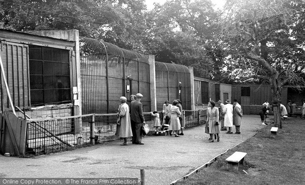 Photo of Maidstone, Zoo Park c.1955