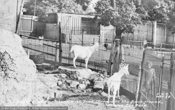 Photo of Maidstone, Zoo Park, The Royal Goat Enclosure c.1955