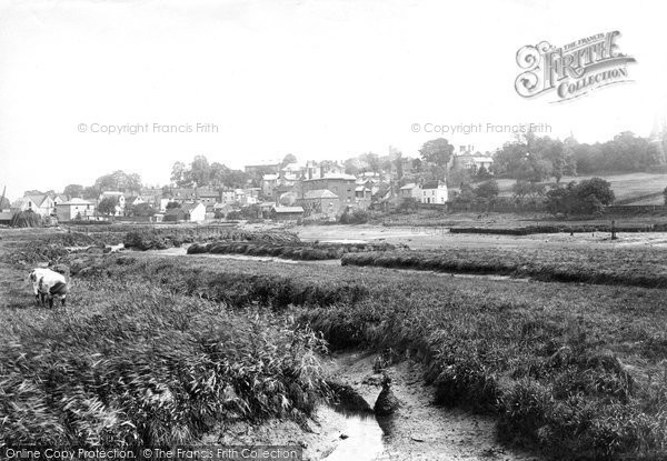 Photo of Maldon, From The Canal 1893