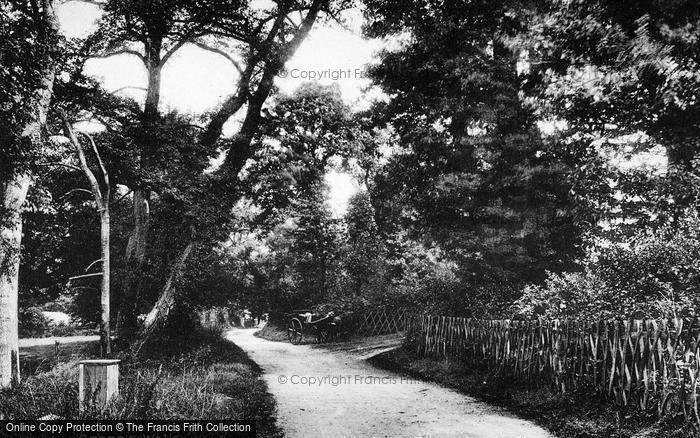Photo of Maldon, Grace's Walk c.1900