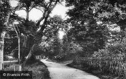Grace's Walk c.1900, Maldon