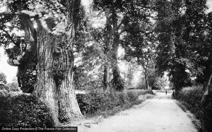Photo of Maldon, Lion Avenue, Beeleigh c.1900