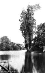 The Canal 1909, Maldon