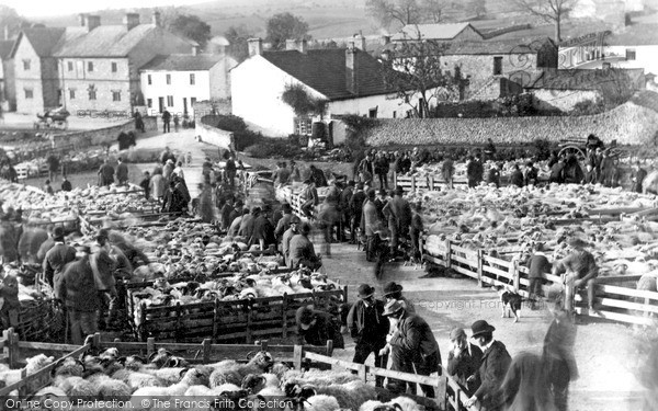 Photo of Malham, A Sheep Sale On The Green c.1910