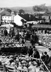 Negotiating Sheep Sale On The Green,  c.1910, Malham