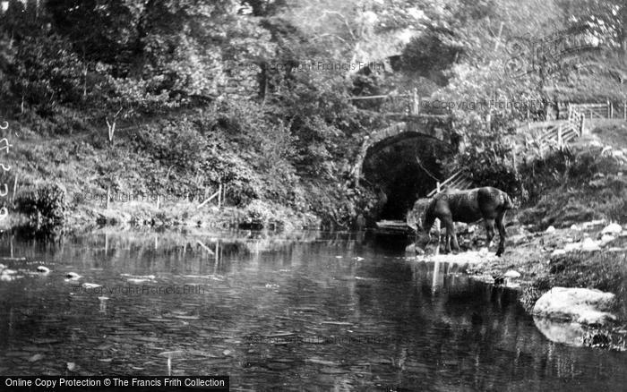 Photo of Mallwyd, Cleifion Bridges c.1890
