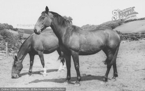 Photo of Malmsmead, Doone Valley c.1965