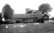 Manaton, Geese on the Green 1922