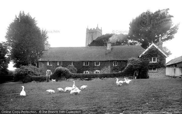 Photo of Manaton, Geese on the Green 1922