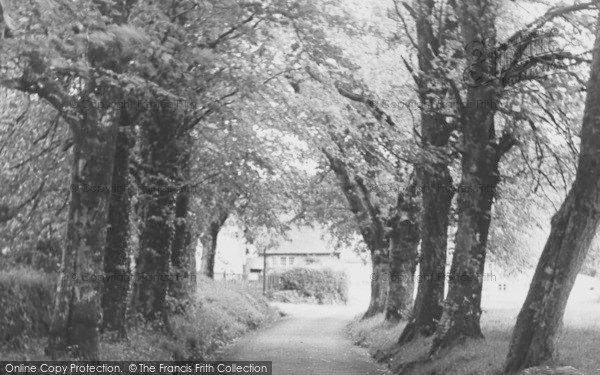 Photo of Manaton, The Village Green c.1955