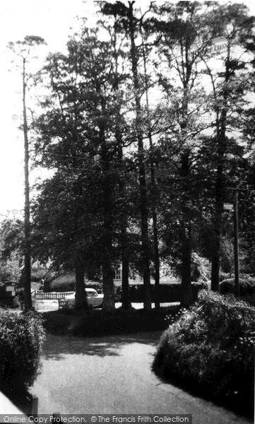 Photo of Manningford Bruce, The Firs c.1955
