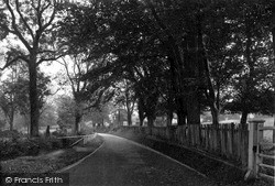 Preshute Lane c.1955, Manton