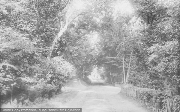 Photo of Mapledurham, Road To The Warren 1890