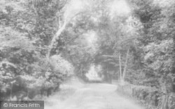 Road To The Warren 1890, Mapledurham