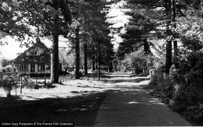 Photo of Maresfield, The Avenue c.1950