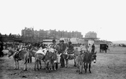 Donkeys On The Sands 1906, Margate