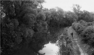 The Canal And Boathouse c.1965, Market Harborough