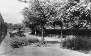 Welland Park c.1960, Market Harborough