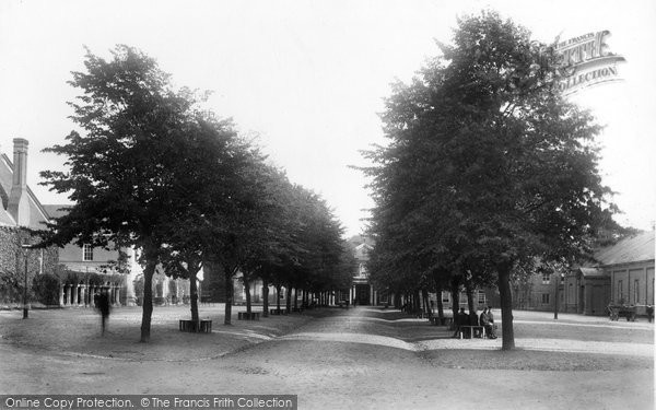 Photo of Marlborough, College Avenue 1901