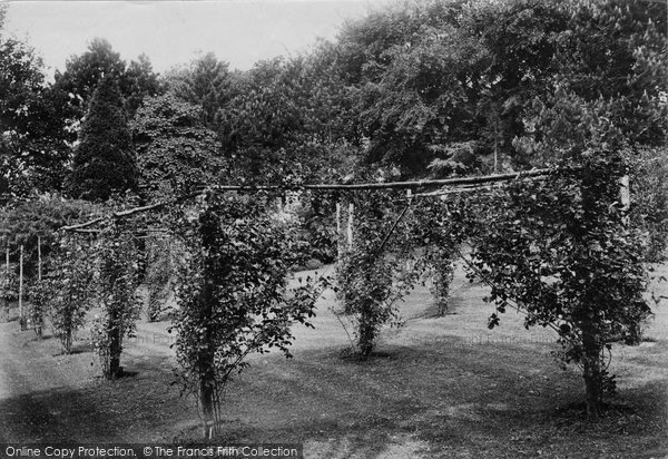 Photo of Marlborough, Littlefield House, The Rosery 1907