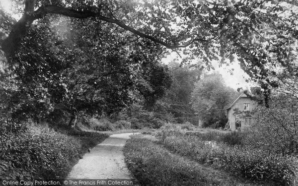 Photo of Marlborough, Treacle Bolley 1907