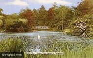 Marton-In-Cleveland, Stewart Park c.1955, Marton