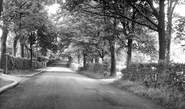 Marton-In-Cleveland, The Grove c.1955, Marton