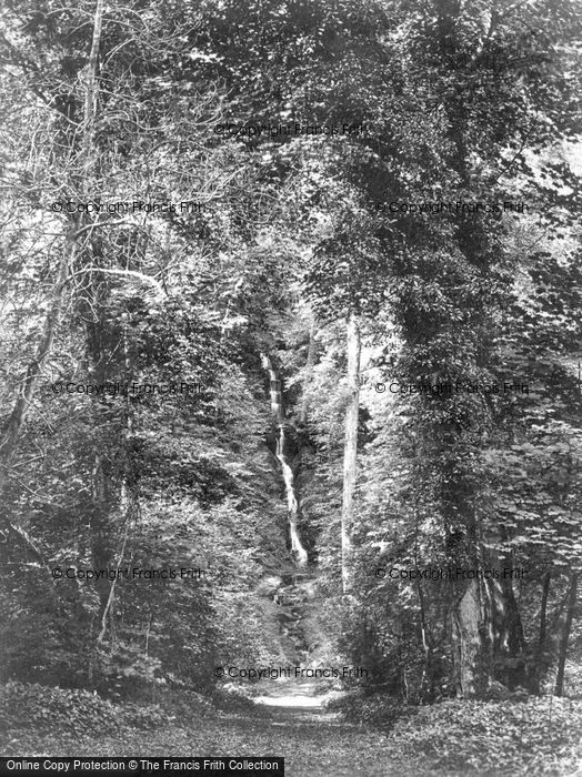 Photo of Masham, Hackfall, The Cascade c.1874