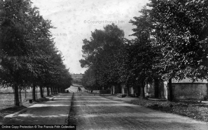 Photo of Masham, The Avenue 1908
