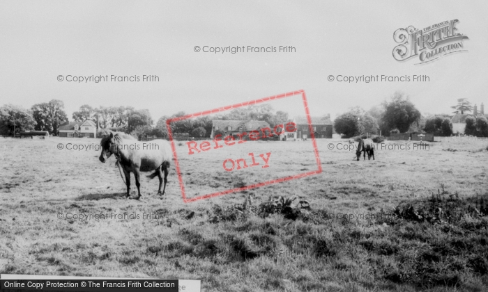 Photo of Matching Green, The Village c.1960
