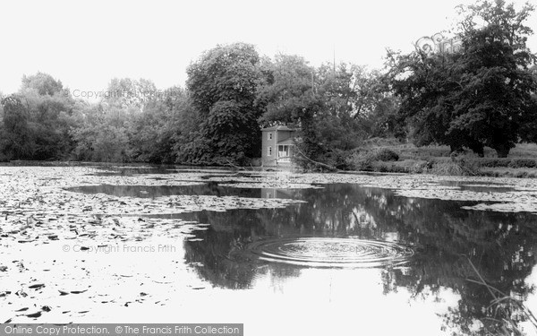 Photo of Matching, The Lily Pond c.1955