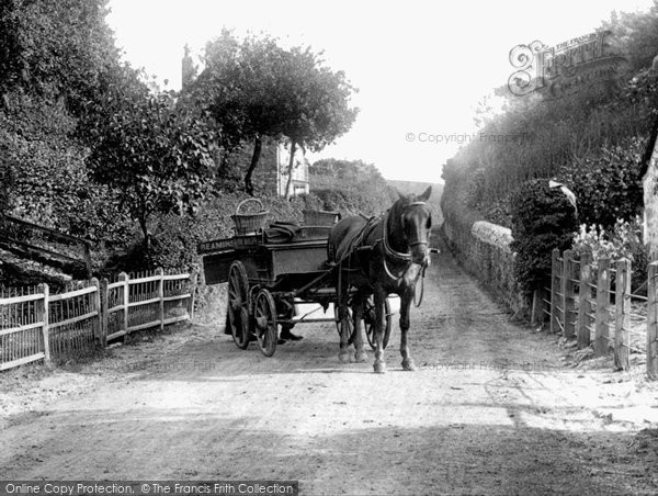 Photo of Melplash, Horse And Cart 1907
