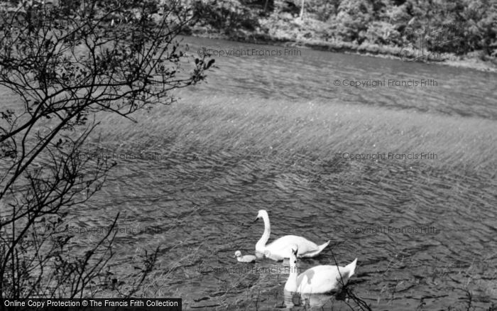 Photo of Meltham, Old Meltham Mills Reservoir c.1955