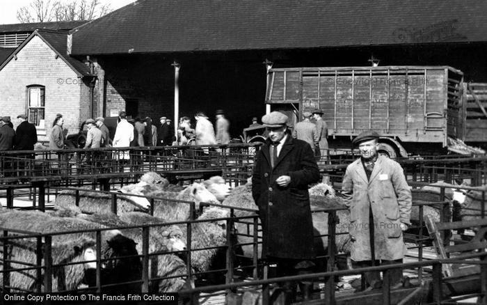 Photo of Melton Mowbray, At The Sheep Market c.1955