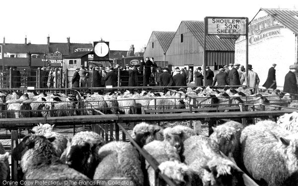 Photo of Melton Mowbray, Sheep Market c.1955