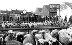 Sheep Market c.1955, Melton Mowbray