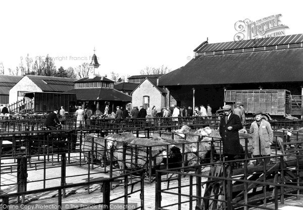 Photo of Melton Mowbray, Sheep Market c.1955