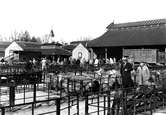 Sheep Market c.1955, Melton Mowbray