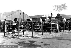 The Cattle Market c.1955, Melton Mowbray
