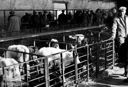 The Cattle Market c.1955, Melton Mowbray