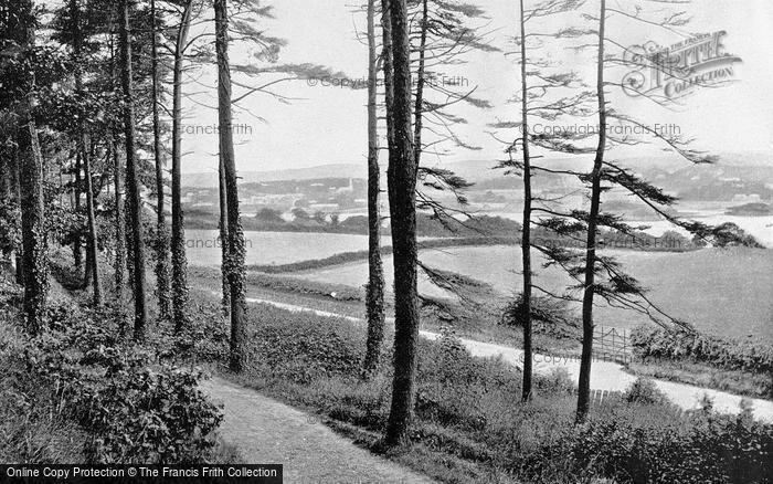 Photo of Menai Bridge, From Bangor Wood c.1895