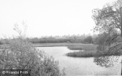 The Pond c.1955, Meols