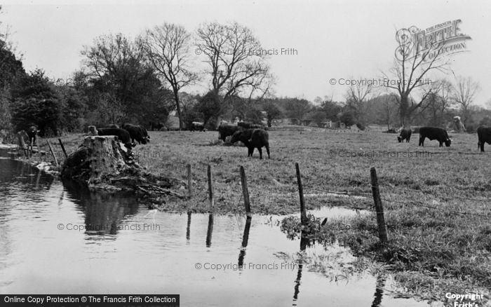 Photo of Meonstoke, A Rural Scene c.1955