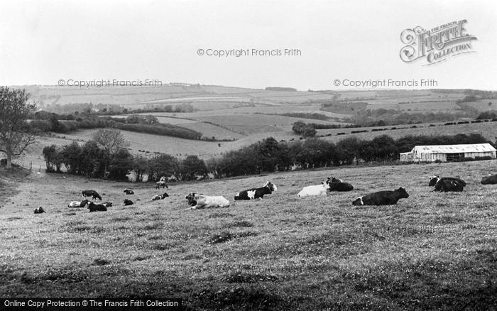 Photo of Meonstoke, The Countryside c.1955 - Francis Frith