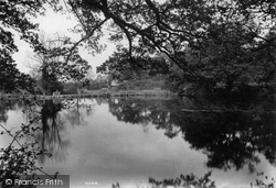 Common, The Lake 1909, Merrow