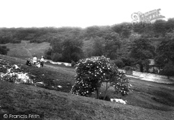 Downs, Fairyland 1907, Merrow