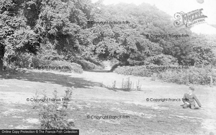 Photo of Merrow, Fairyland, The Downs 1904
