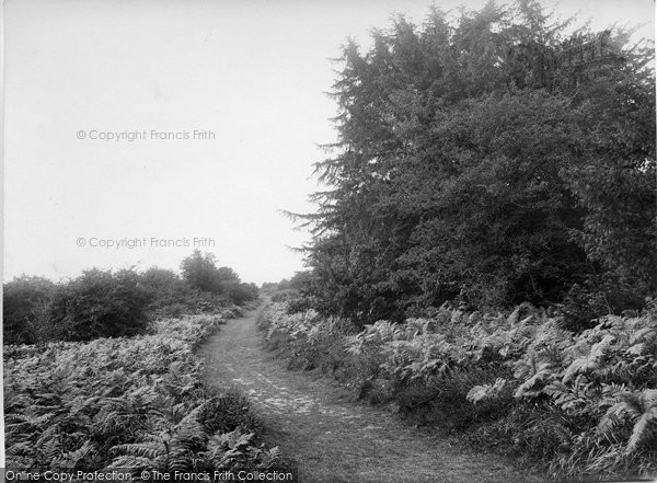 Photo of Merrow, Green Path To Guildford 1927
