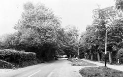 Trodds Lane c.1960, Merrow