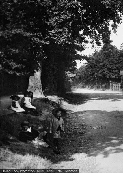 Photo of Merrow, Village Children 1904